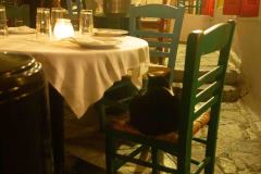 Athens-First-Day-21-B2289357