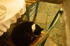 Athens-First-Day-22-B2289359