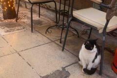 Athens-First-Day-6-B2289280