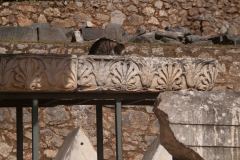 2024-03-02-Delphi-1-_3017164