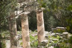2024-03-02-Delphi-20-_3017268