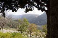 2024-03-02-Delphi-21-B1019531