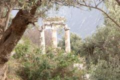 2024-03-02-Delphi-33-B1019646