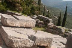 2024-03-02-Delphi-5-_3017179