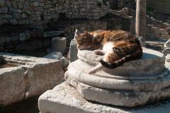Epeheuss-Turkey-109-_3077664
