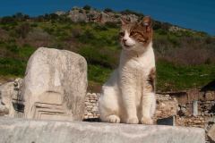 Epeheuss-Turkey-112-_3077669