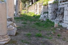 Epeheuss-Turkey-141-B3070177