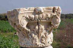 Epeheuss-Turkey-17-B3079953
