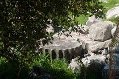 Epeheuss-Turkey-29-_3077503