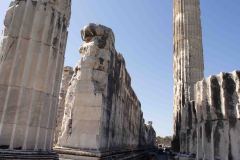 Epeheuss-Turkey-37-B3079993