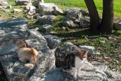 Epeheuss-Turkey-83-_3077610