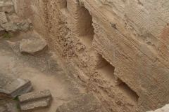 Limissol-Cypress-13-_3097741