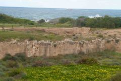 Limissol-Cypress-17-_3097751