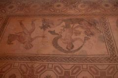 Limissol-Cypress-26-_3097773