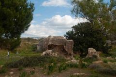 Limissol-Cypress-6-_3097723