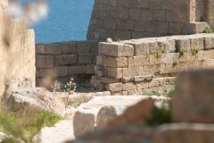 Rhodes-Greece-30-_3117835