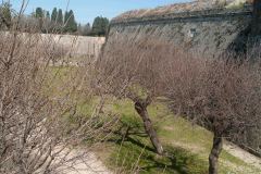 Rhodes-Greece-51-_3117884