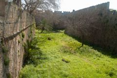 Rhodes-Greece-54-_3117889