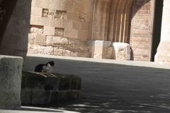 Rhodes-Greece-60-_3117908