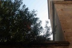 Rhodes-Greece-61-_3117910