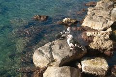 Rhodes-Greece-79-_3117948