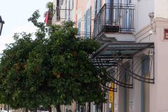 Naplion-13-B3130679