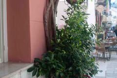 Naplion-6-_3138048