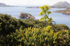 Sounion-Greece-46-B3140867