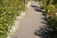 Butchart-Gardens-22-_3158583