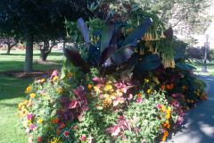Butchart-Gardens-24-_3148541