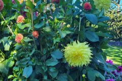 Butchart-Gardens-29-20240915_152514