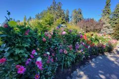 Butchart-Gardens-30-20240915_152608