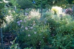 Butchart-Gardens-32-_3158587