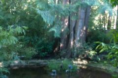 Butchart-Gardens-34-_3158596