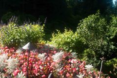 Butchart-Gardens-35-_3158598