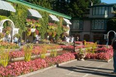 Butchart-Gardens-37-_3158601