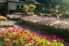 Butchart-Gardens-38-_3158602