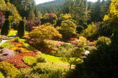 Butchart-Gardens-5-_3158549