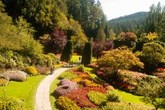 Butchart-Gardens-6-_3158550