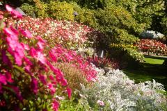 Butchart-Gardens-7-_3158552
