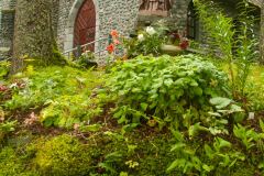 Juneau-14-_3038294