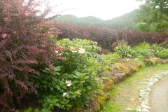 Juneau-15-_3038303