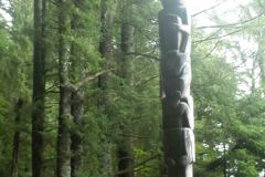 Sitka-3-_3028222