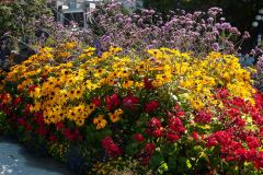 Victoria-BC-5-_3148498