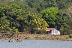 P1132785