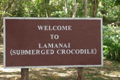 2025-01-29 Belize Lamini Ruins