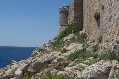 P5281151
