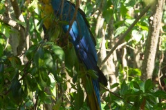 P1082628