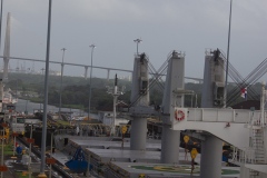 P1102658