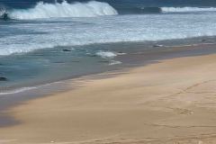 2026-01-27 Oahu Hawaii
